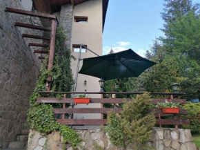 Casa Jocuri și cărți